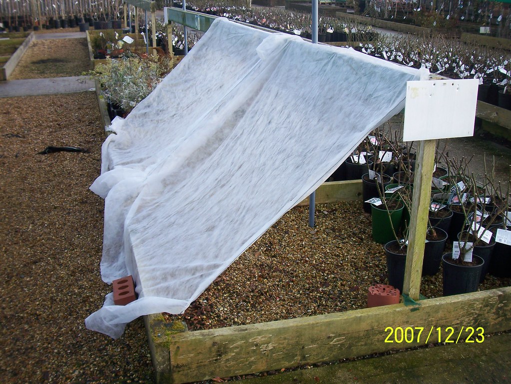 Winter plant protection in a Málaga garden with covers and mulch