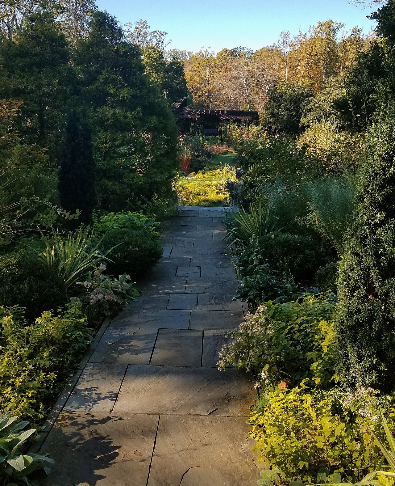 Landscaped garden path with mature planting